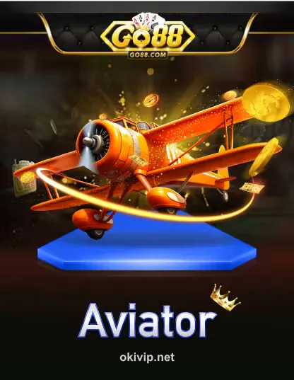 Hình ảnh Go Aviator Portrait