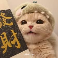 Ảnh đại diện người dùng Hoàng Thanh Tùng